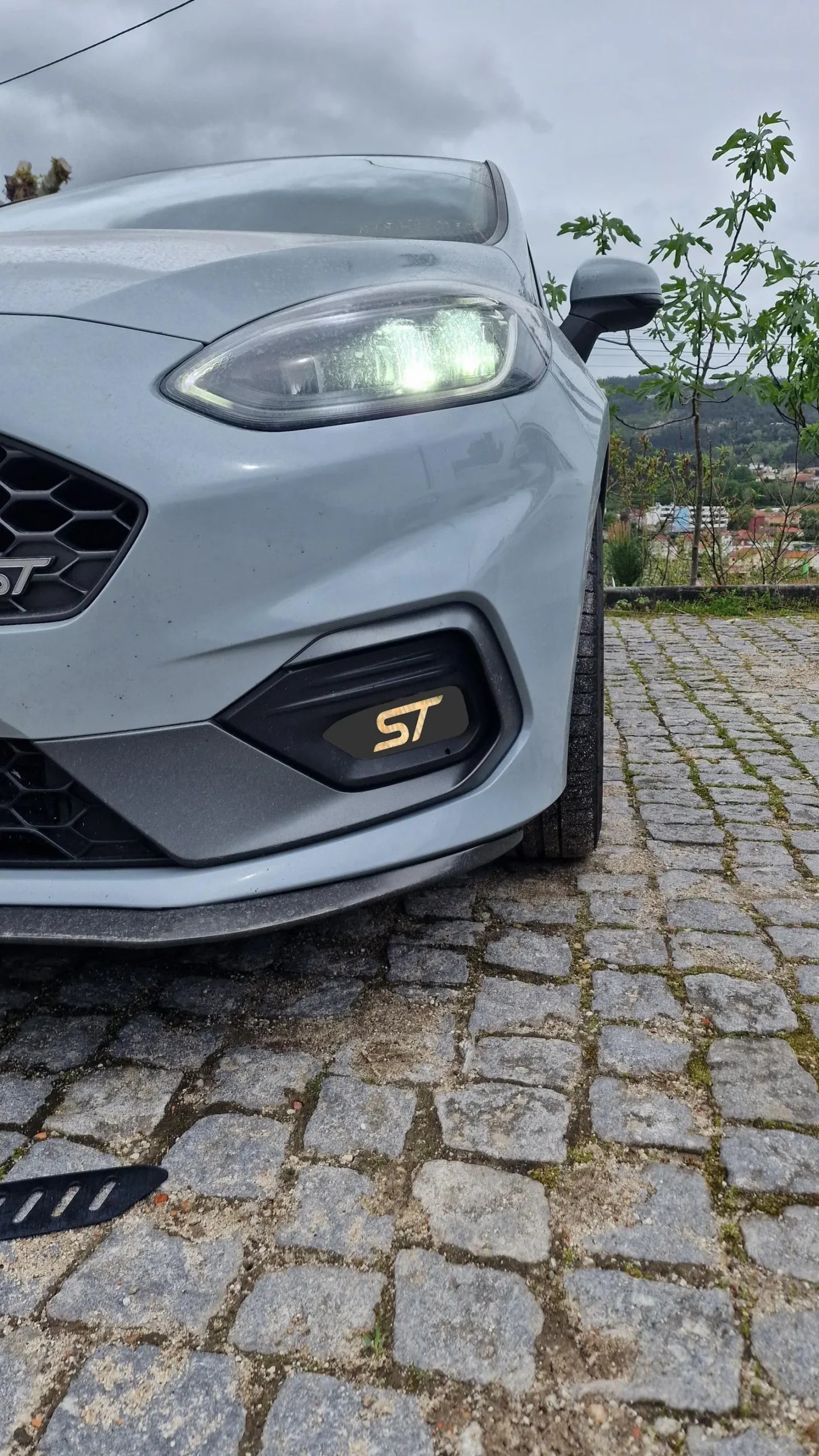 Fog Guards - Ford Fiesta MK8