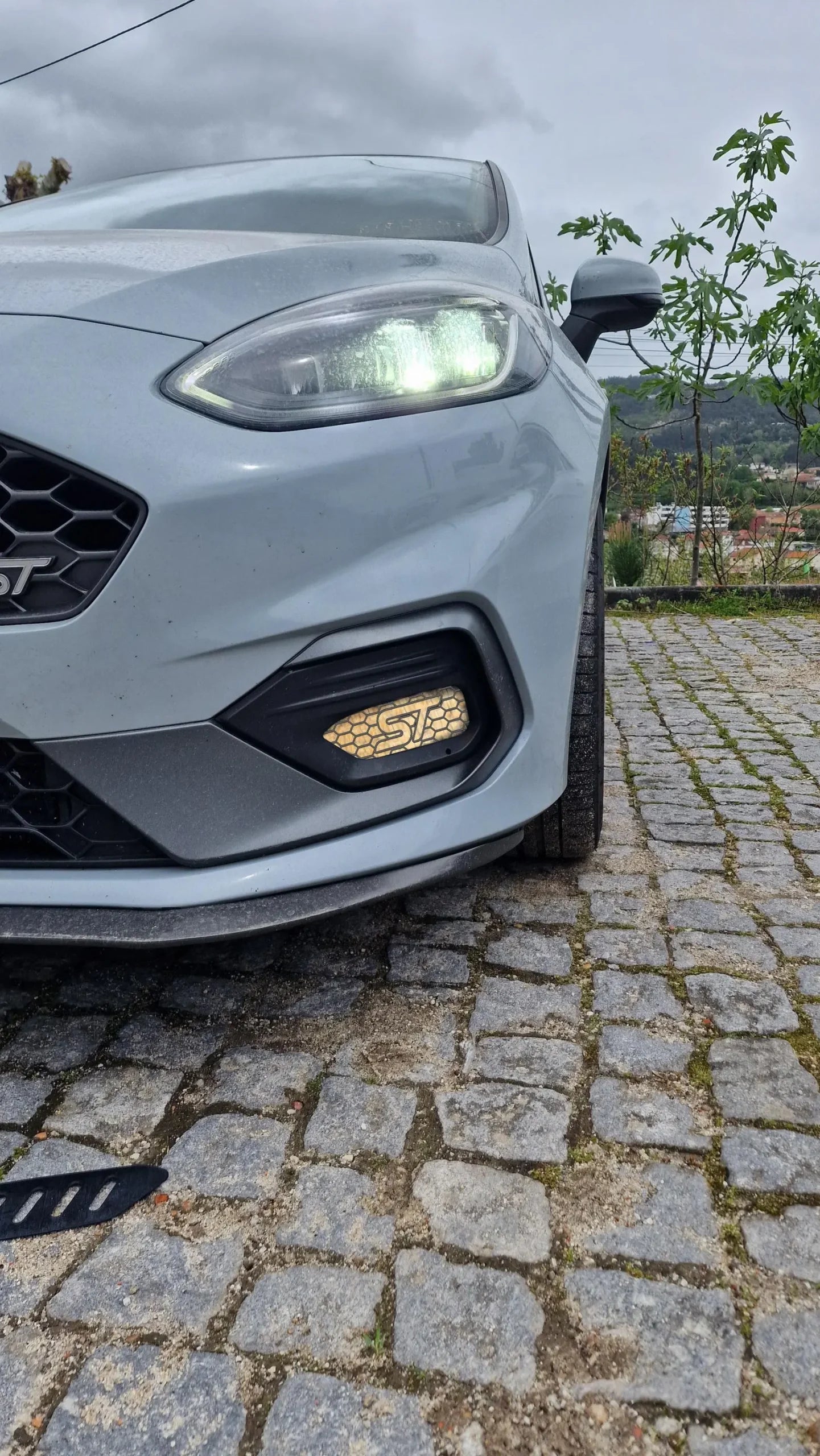 Fog Guards - Ford Fiesta MK8